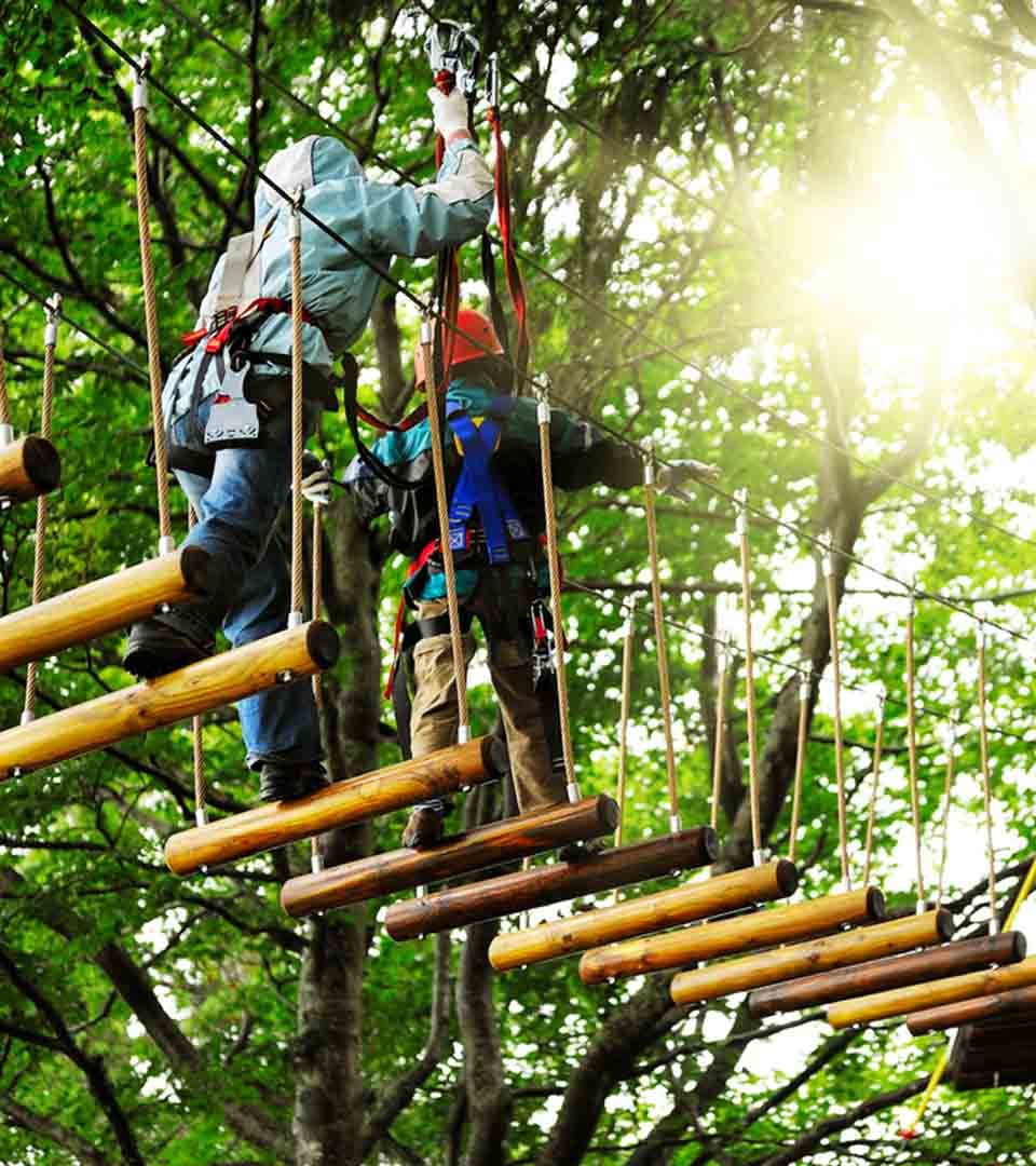 A walk way bridge in the trees with people walking across it at an outdoor adventure centre