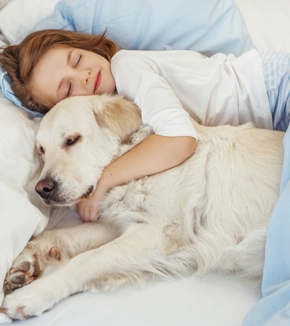 kid and dog sleeping in bed