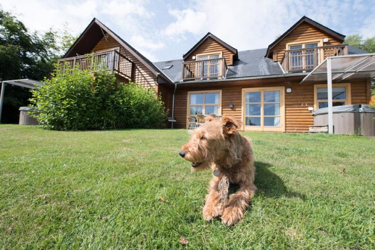 DogFriendly Holidays in Scotland Loch Lomond Waterfront