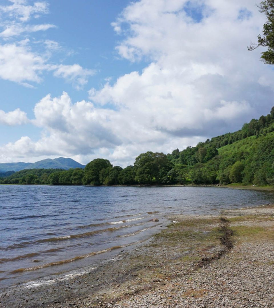 A beach on the Eastern shore of Loch Lomond near Balmaha