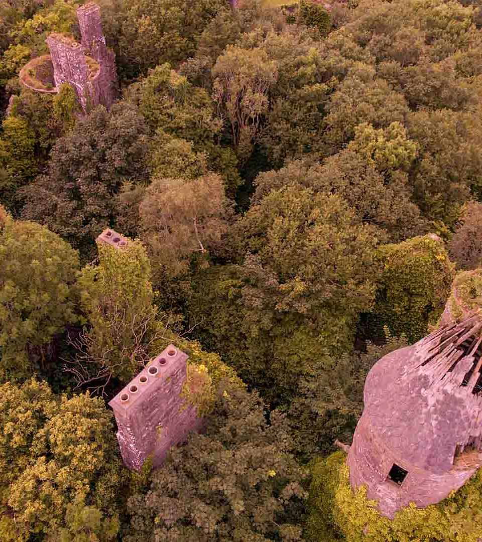 Aerial view of Buchanan Castle