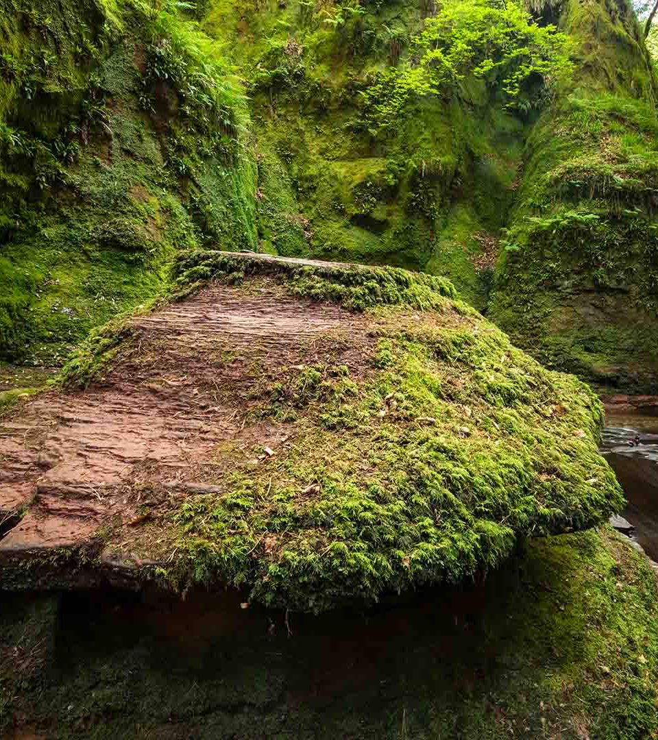 The devils pulpit