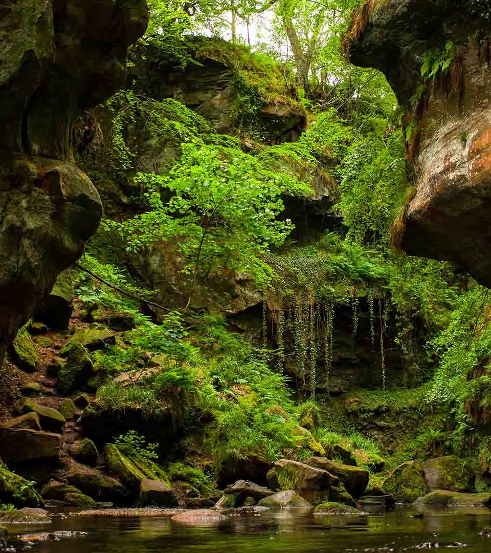 a view of Finnich Glen