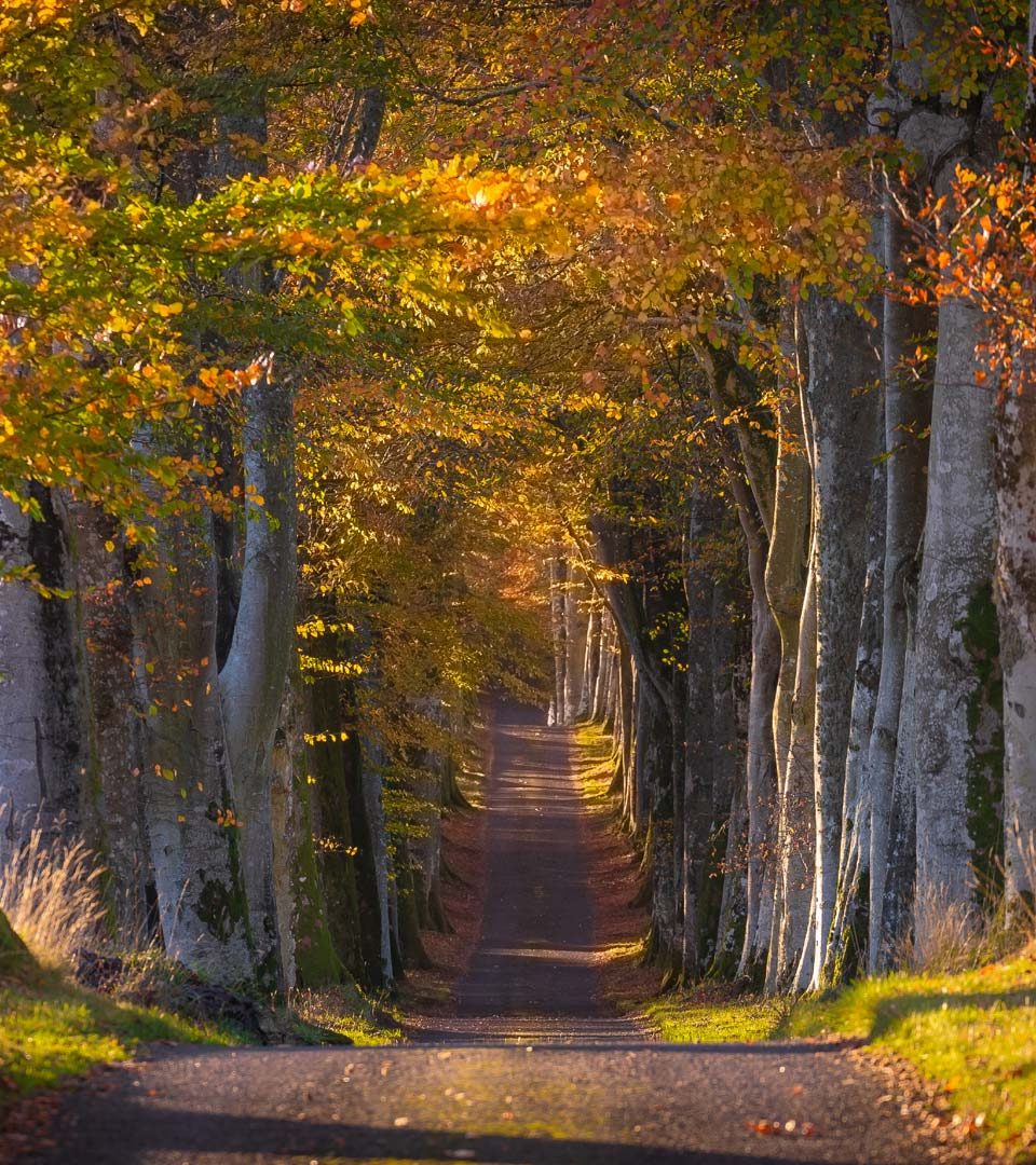 Autumn walk in Crieff