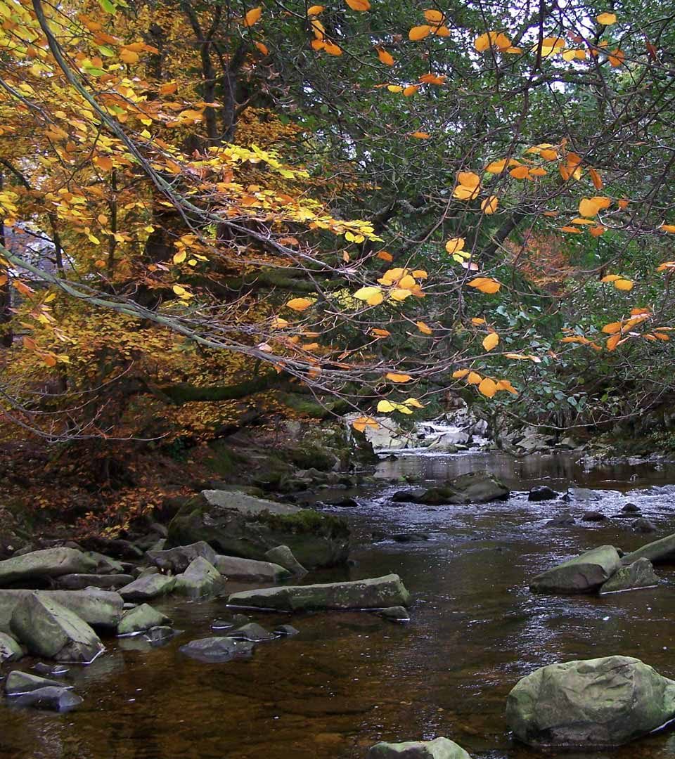 River near House of Bruar