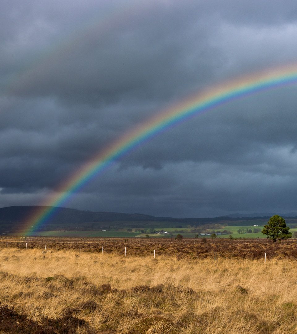 Rainbow over Flanders Moss Nature Reserve in Scotland