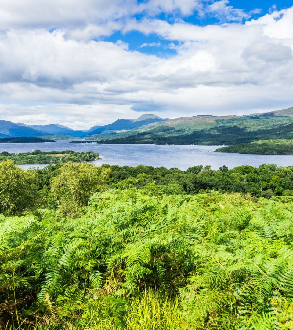 Loch Lomond panorama seen from the summit of Inchcailloch Island