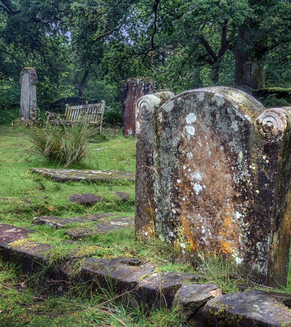 Old gravestones on Inchcailloch Island, Loch Lomond