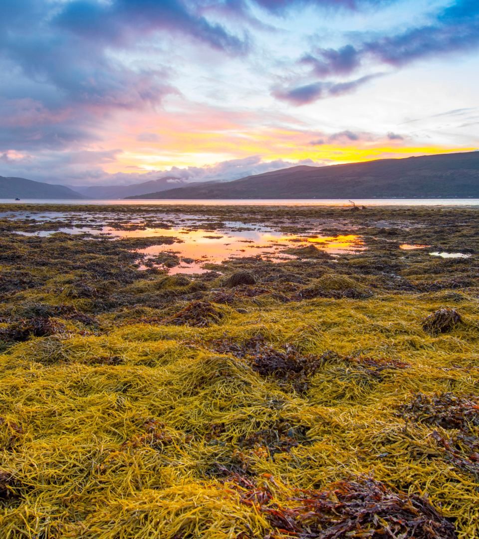 Sunrise over Loch Fyne