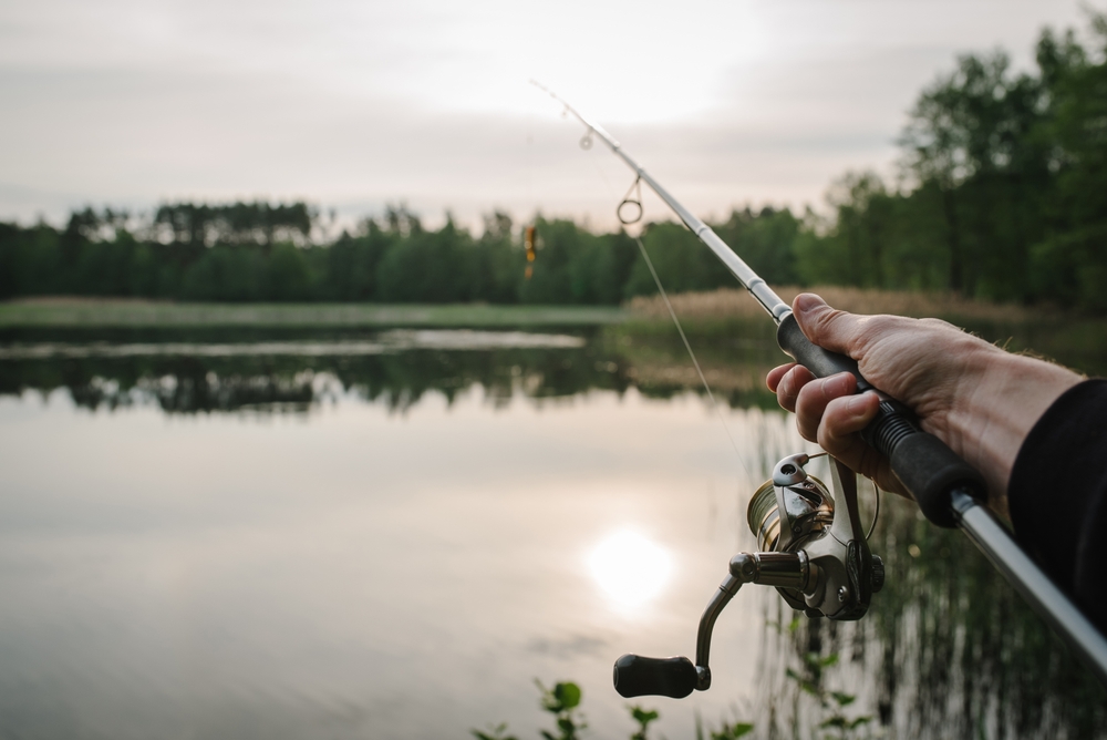 Fishing for pike, and perch from a lake or pond. Background wild nature. Fisherman with rod, spinning reel on the river bank. Wild nature. The concept of a rural getaway.