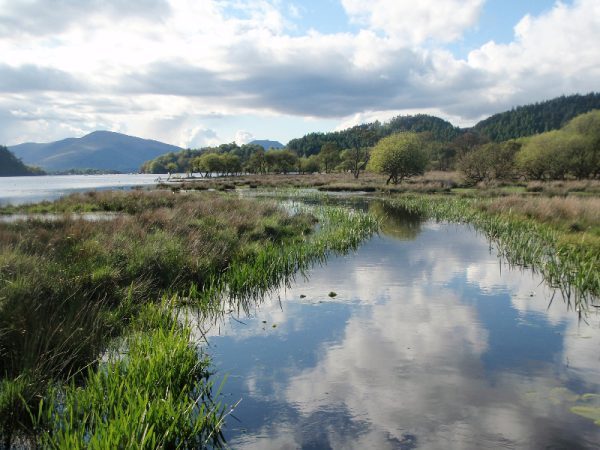 Loch Lomond Fishing Locations | Loch Lomond Waterfront