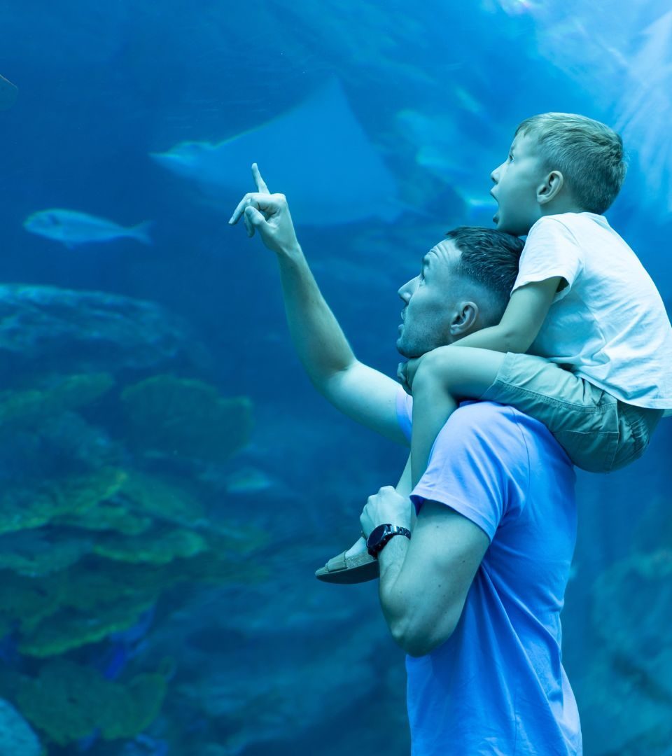 Boy on mans shoulders looking to the aquarium tank.