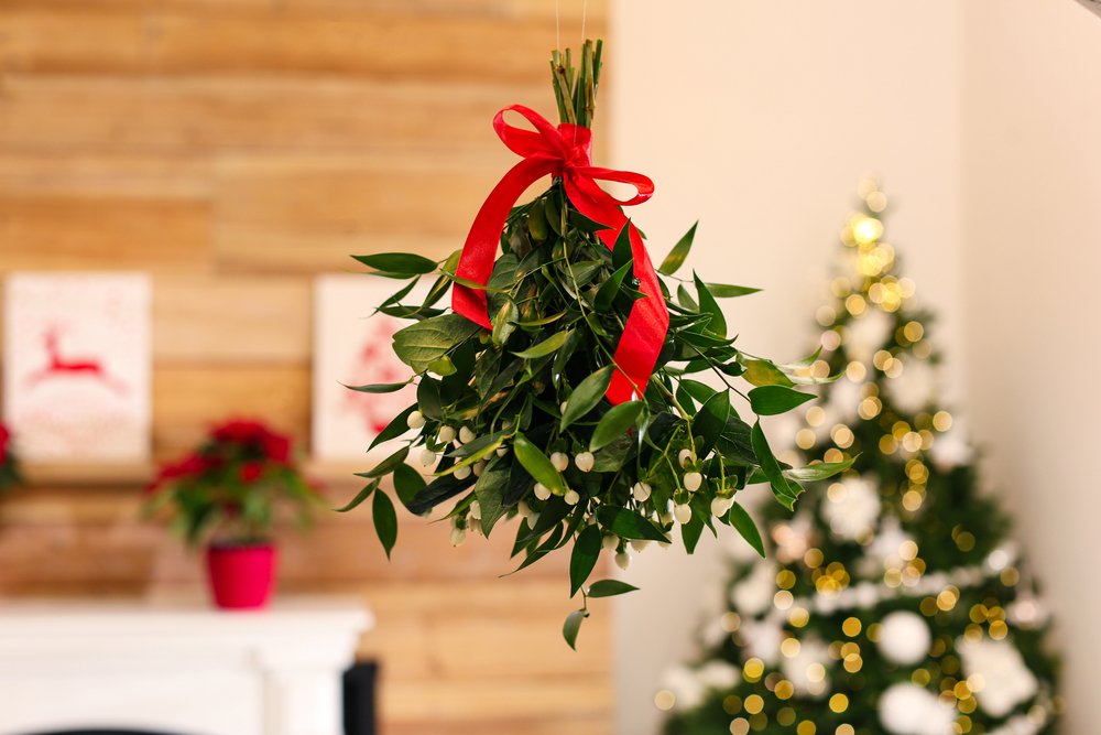 Mistletoe bunch with red bow hanging in room decorated for Christmas.