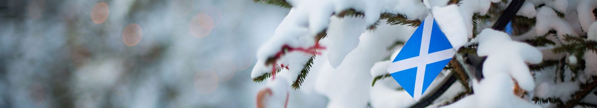 Scotland flag. Christmas background outdoor. Christmas tree covered with snow and decorations and Scottish flag